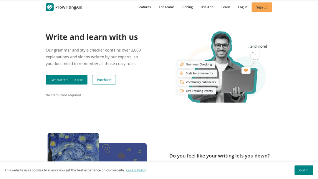 prowritingaid.com
